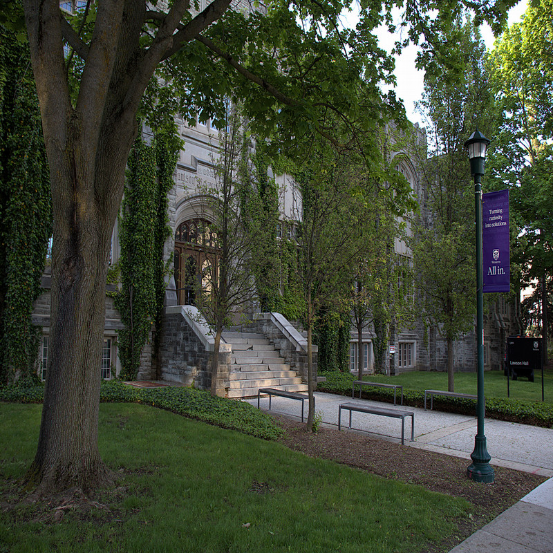 Department of History